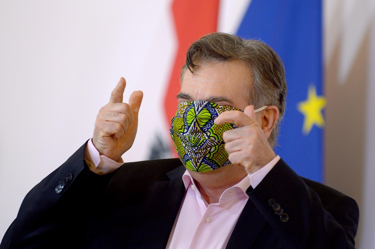 Der österreichische Vizekanzler Werner Kogler mit Schutzmaske