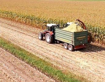 Traktor bei der Maisernte