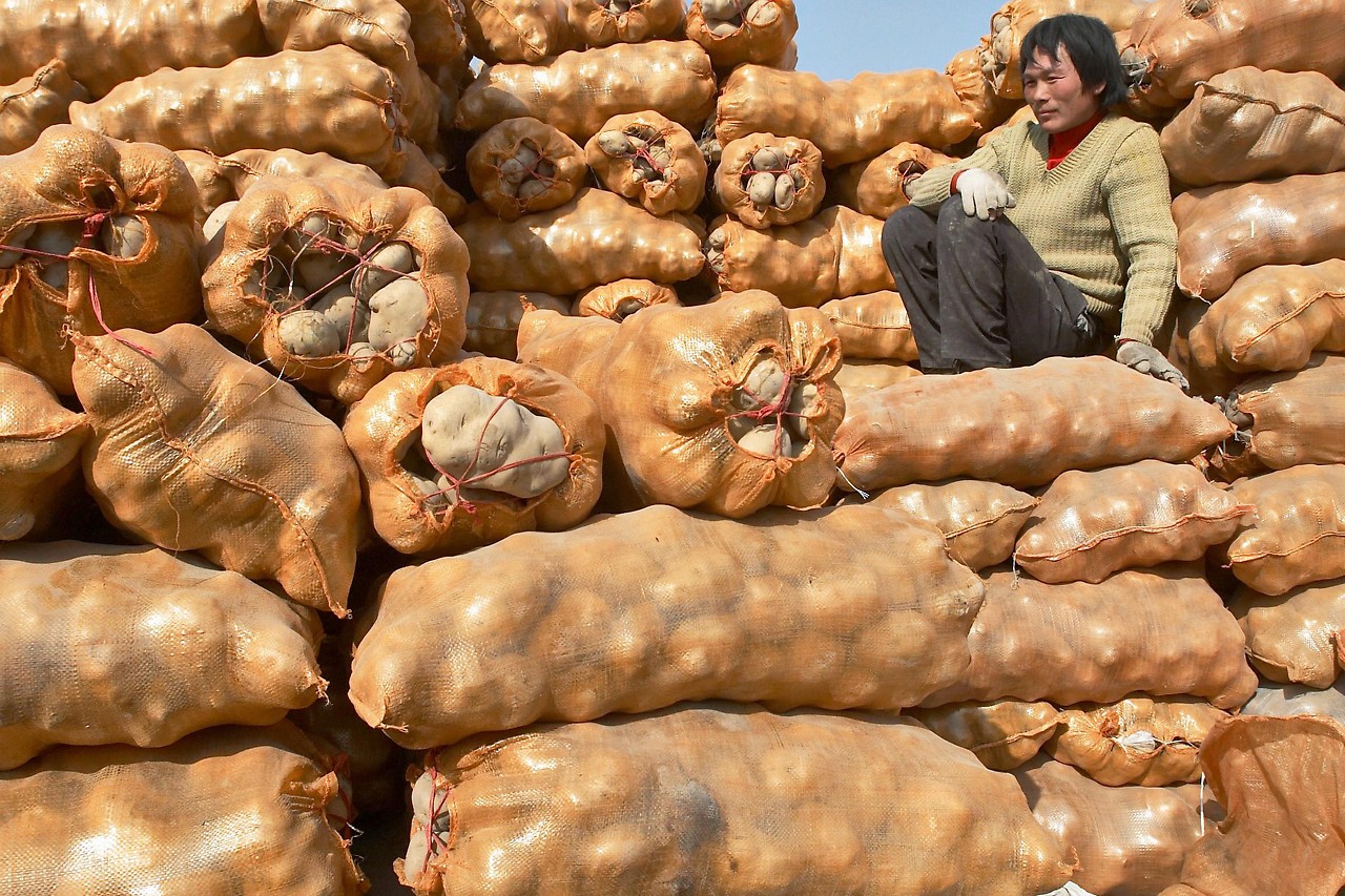 Chinesischer Bauer sitzt auf vielen Säcken Erdäpfeln