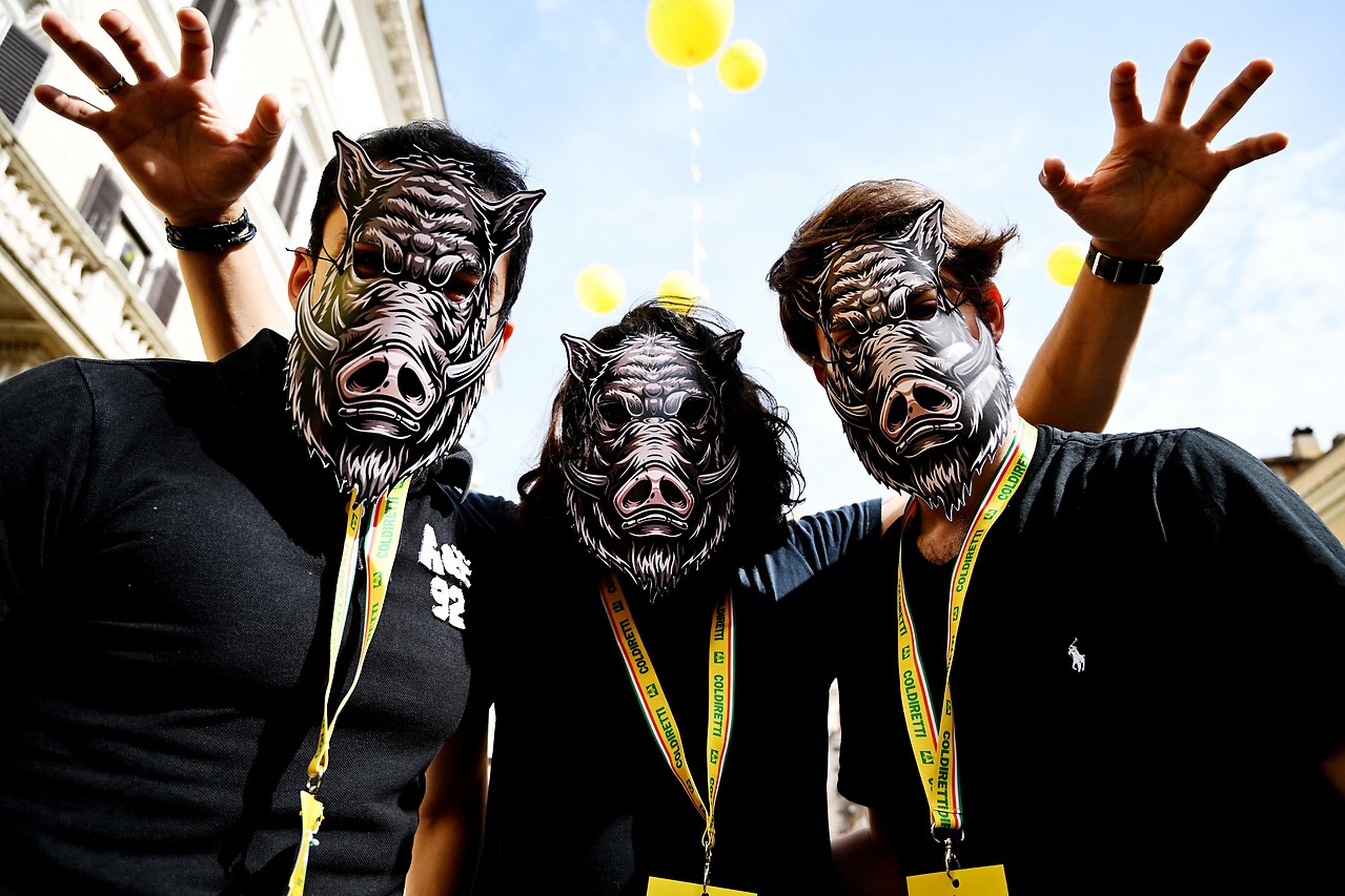 Manifestanti con maschere di cinghiale a Roma