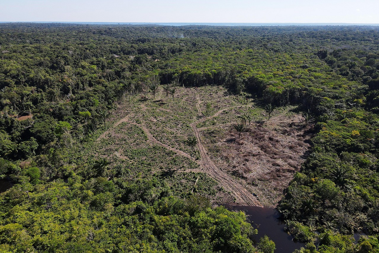 Abgeholzte Fläche no Amazonas