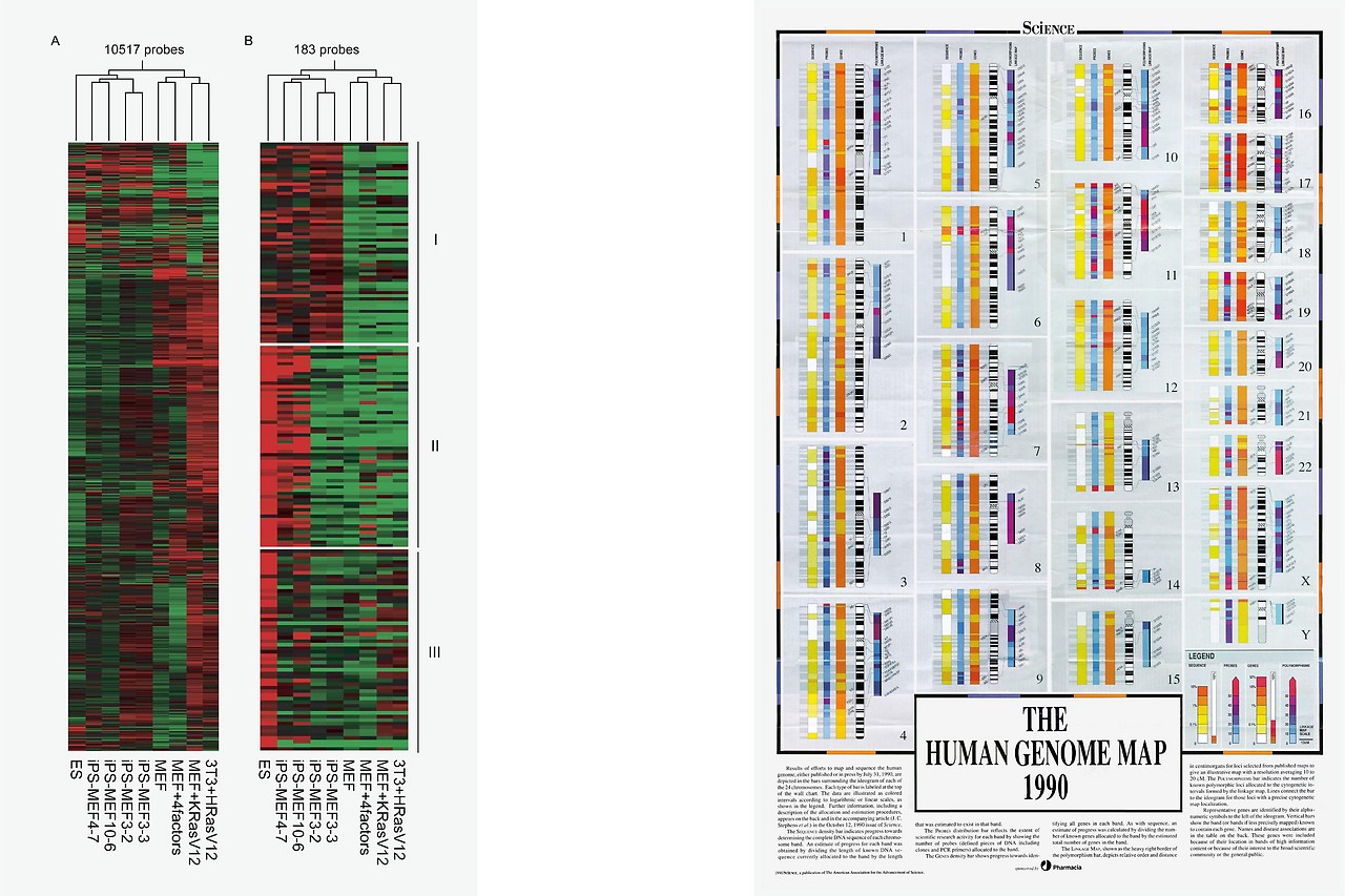 Afbeeldingen tonen microarrays van DNA en het menselijk genoom