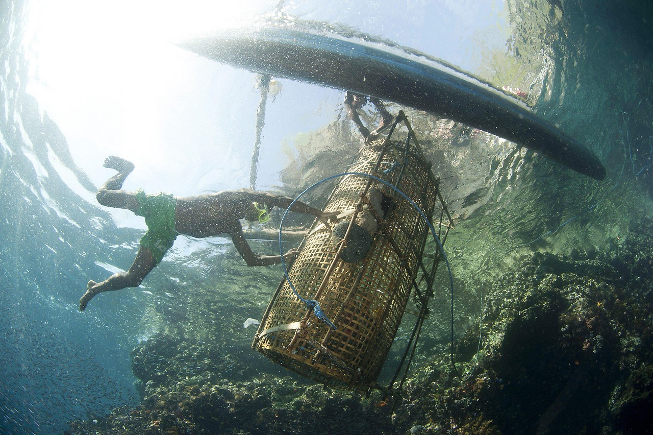 Nelayan Indonesia menempatkan keranjang pancing di bawah air