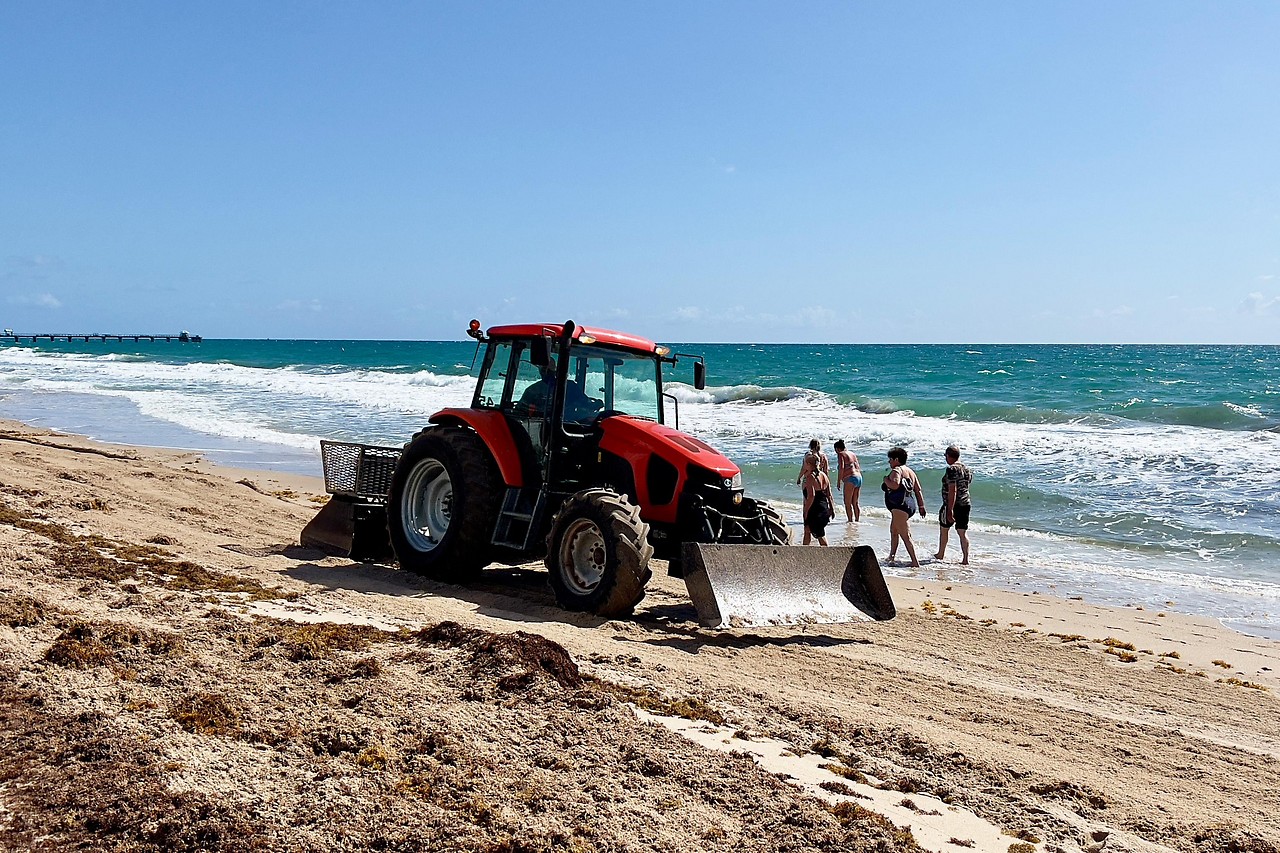 A tractor removes the sargassum seaweed on Pompano Beach in Florida