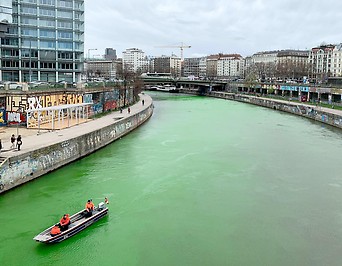 Von Aktivisten grün gefärbte Donau