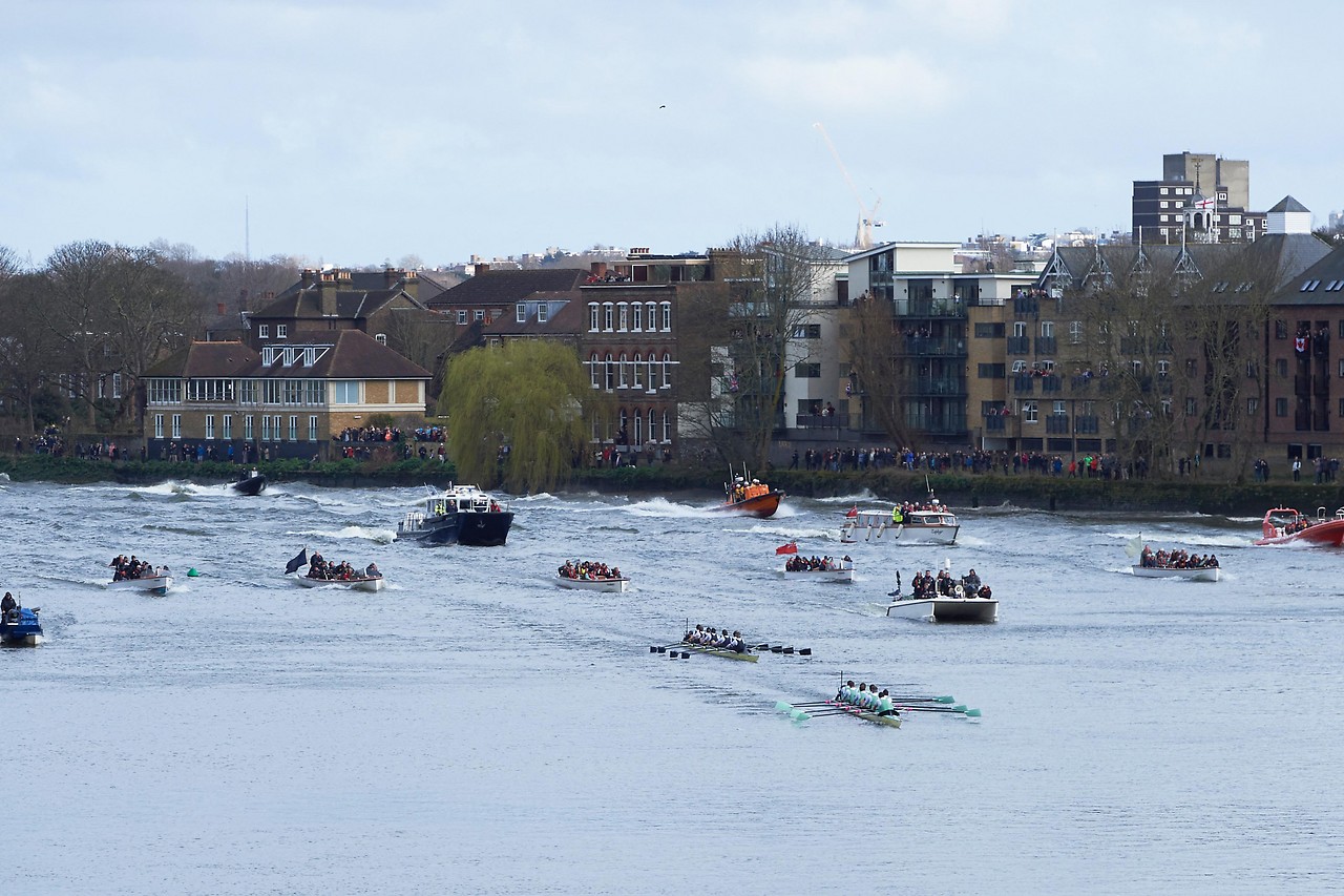 Rowing race, bird's eye view