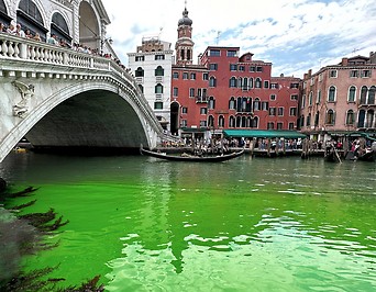 Grünes Wasser am Canale Grande