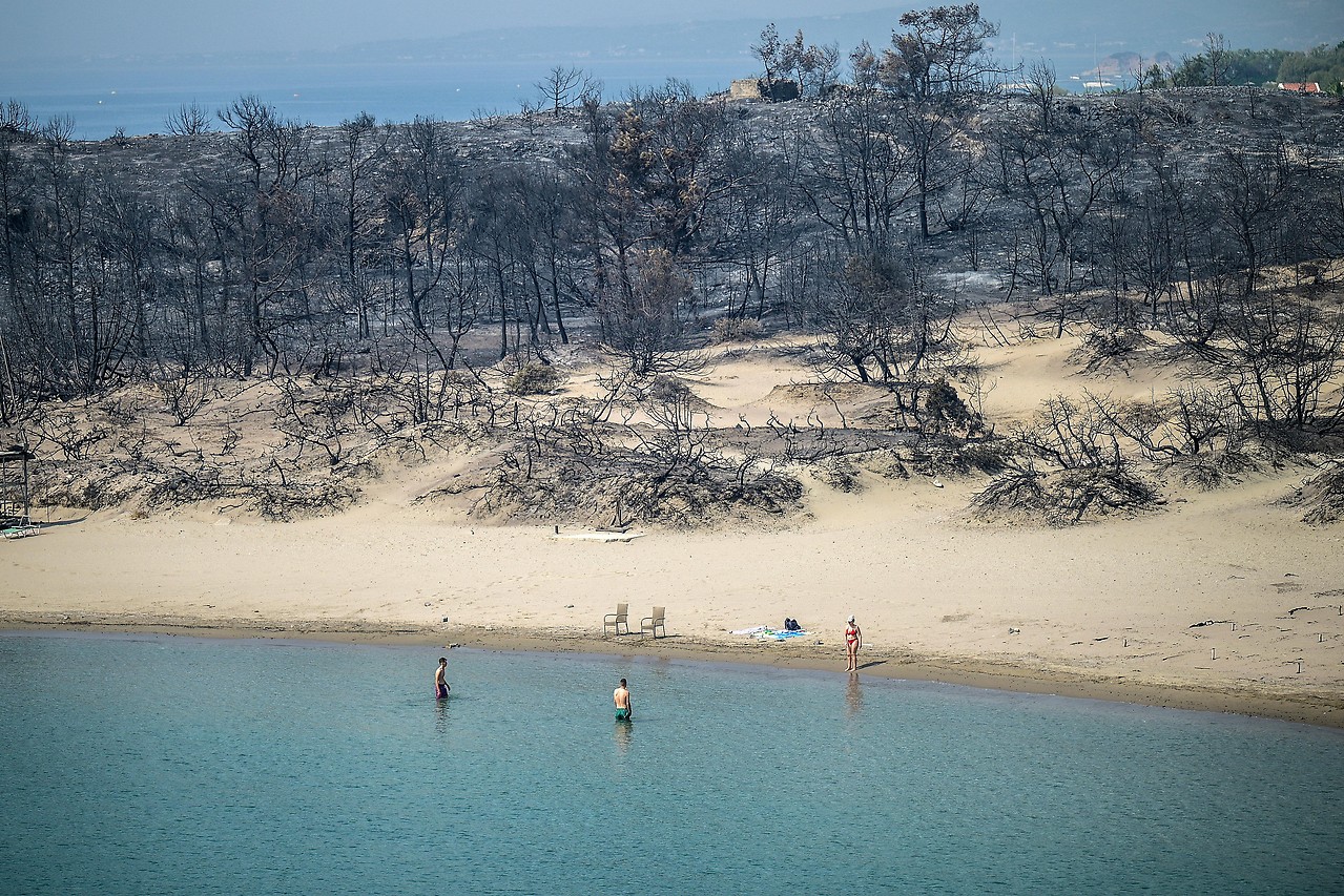 Burnt trees on the beach in Rhodes Island