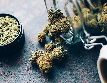 Cannabis in Krug und Grinder