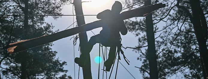Ein Aktivist auf einem Baum im Wald in der Nähe der Tesla-Fabrik in Grünheide