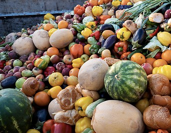 Brot, Gemüse und Früchte in einem großen Müllcontainer