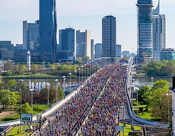 Teilnehmer und Teilnehmerinnen des Vienna City Marathons
