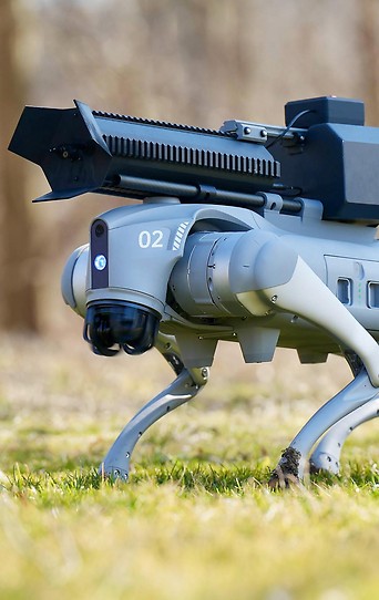 Roboterhund mit Flammenwerfer, vermarktet als „Thermonator“
